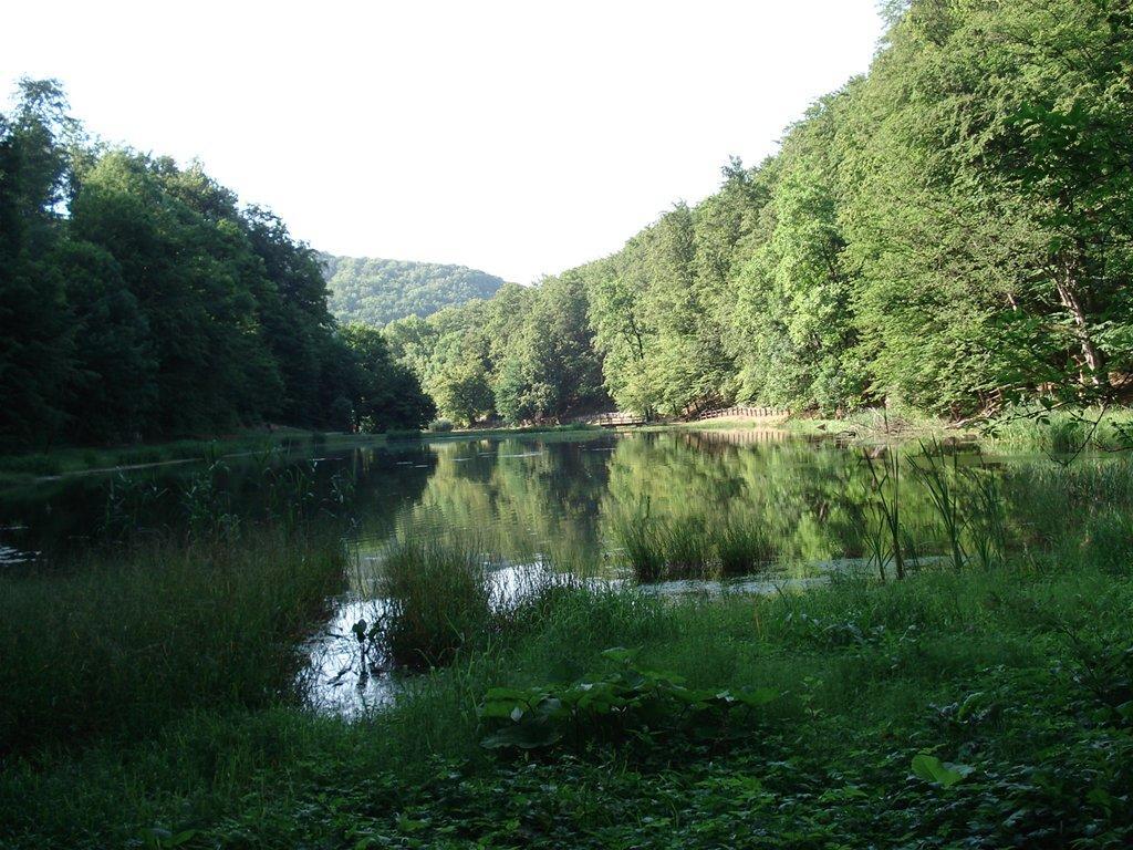 Seoski Turiziam Larva Trenkovo Exteriér fotografie