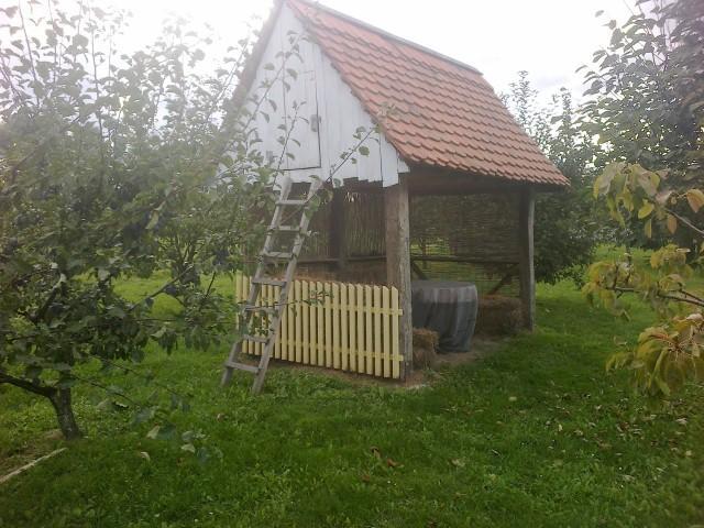 Seoski Turiziam Larva Trenkovo Exteriér fotografie