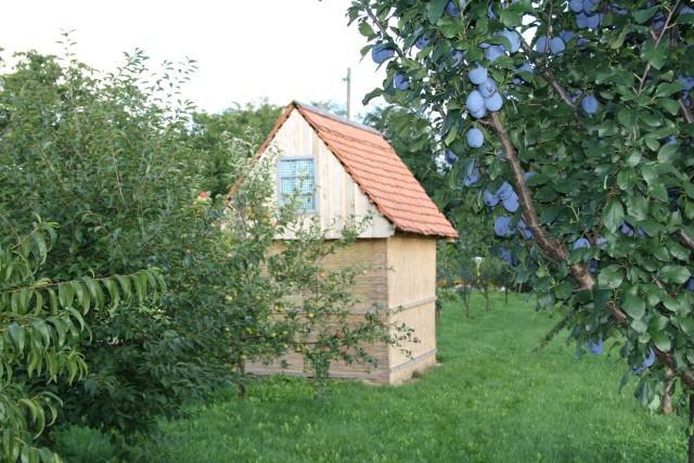 Seoski Turiziam Larva Trenkovo Exteriér fotografie